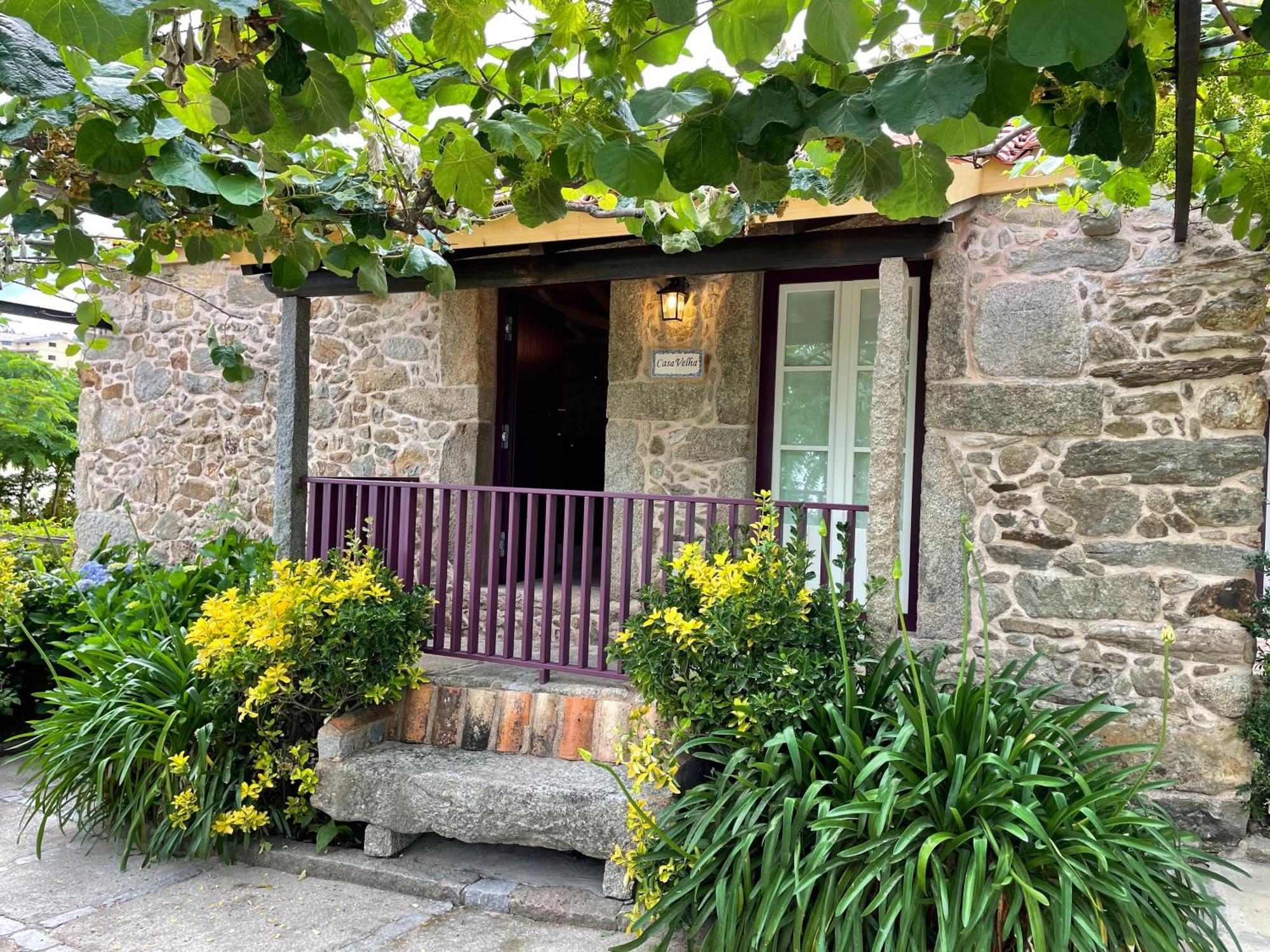 Casa Velha-Santiagofamilyhouse Vila Sever do Vouga Exterior foto